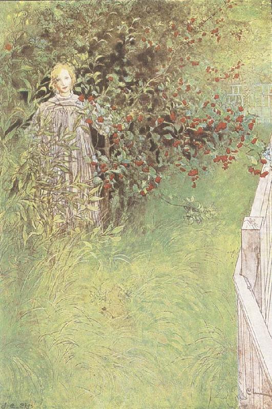 A Fairy, Carl Larsson